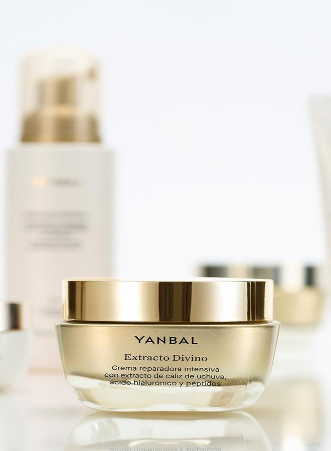 Yanbal Extracto Divino Youth Renewal Complex Face And Neck - Image 3